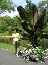 Parc Floral