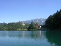 Блед