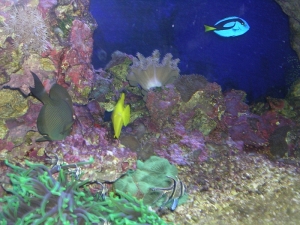 Стокгольм, музей Aquatic